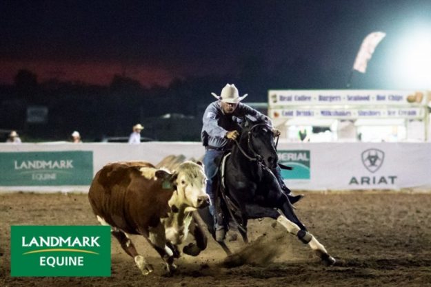 16601811_973693309397704_1760530185809718093_o