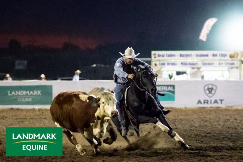 ID wins the Stallion Shoot Out at Landmark 2017