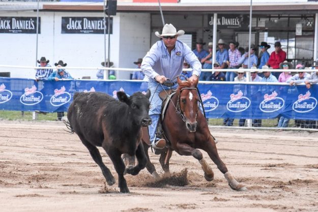 Top Cat Warwick (002)